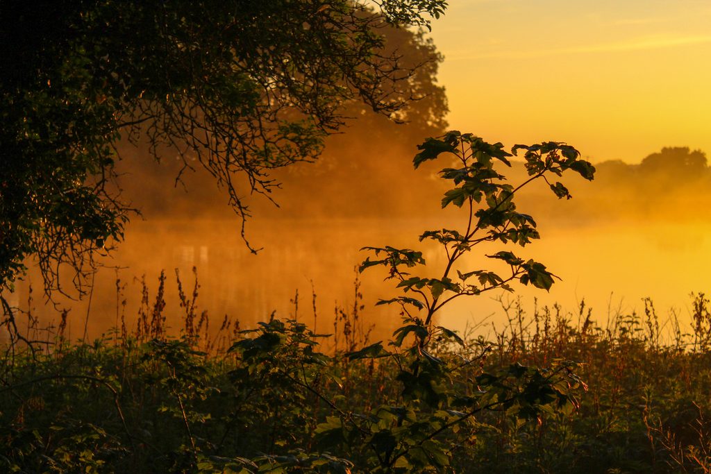 misty lake final